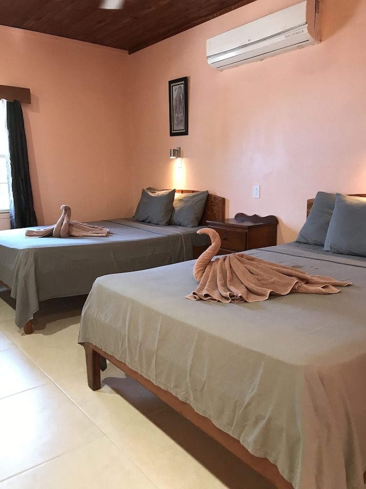 tropical paradise hotel