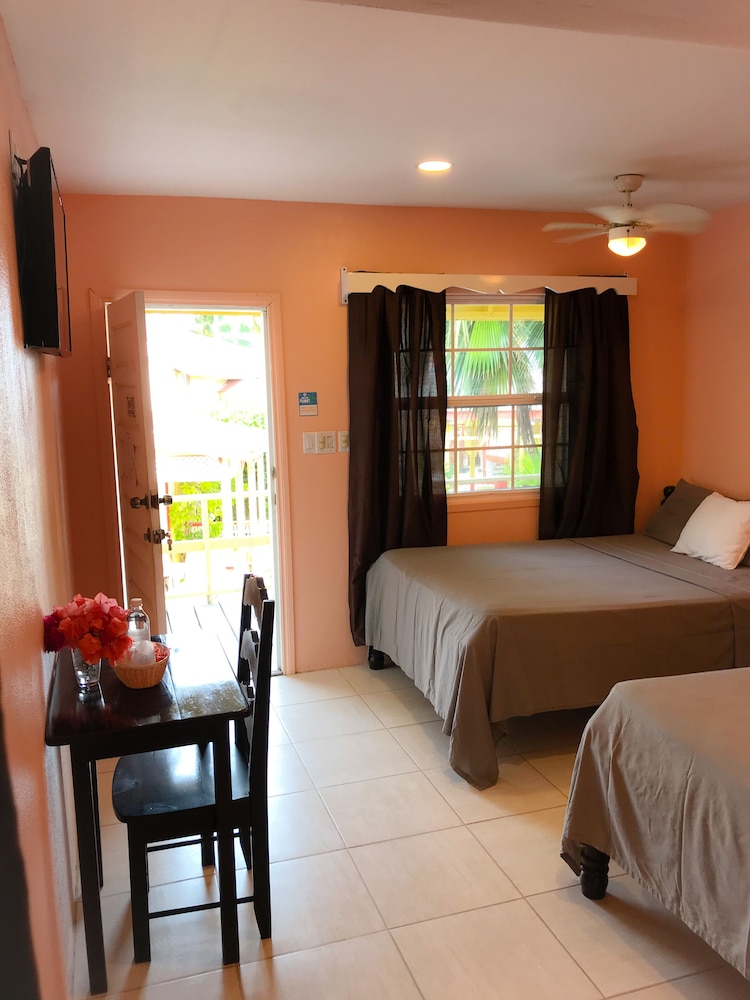 tropical paradise hotel