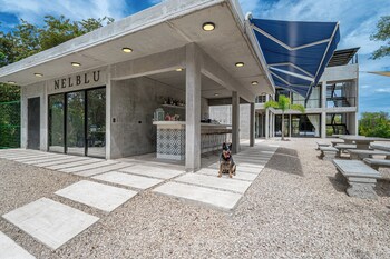 nelblu flamingo suites
