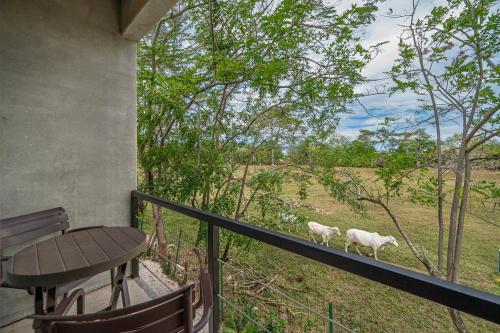nelblu flamingo suites