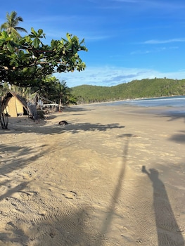 el nido