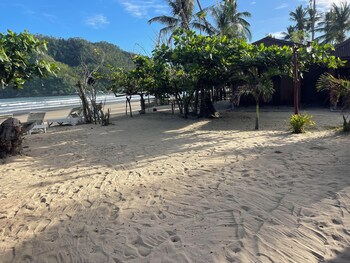el nido