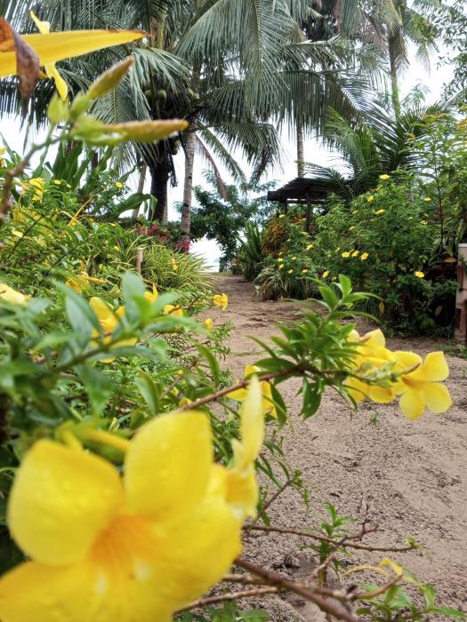 akoya beach park and cottages