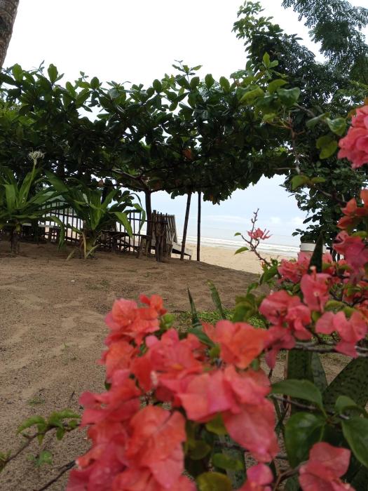 akoya beach park and cottages