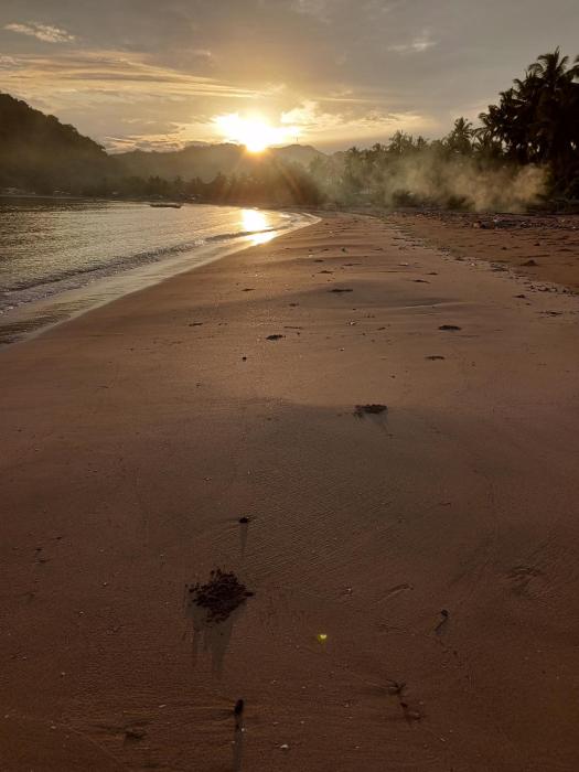 akoya beach park and cottages