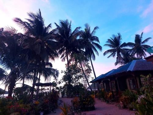el nido