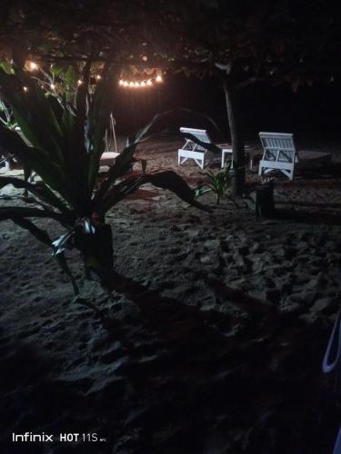 akoya beach park and cottages