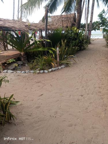 akoya beach park and cottages