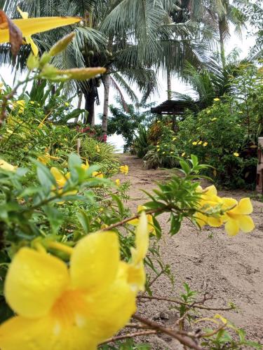 akoya beach park and cottages