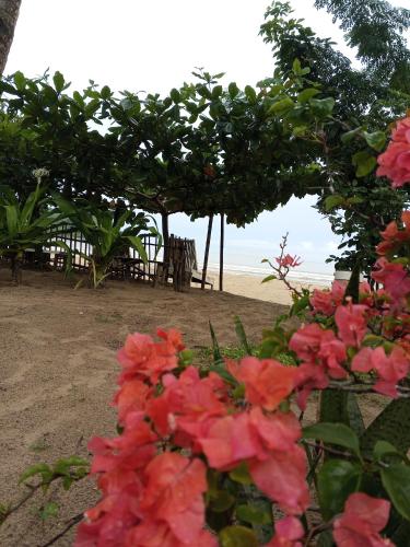 akoya beach park and cottages