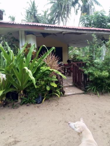 akoya beach park and cottages