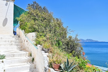 ikaria therma blue