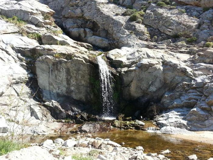 ikaria