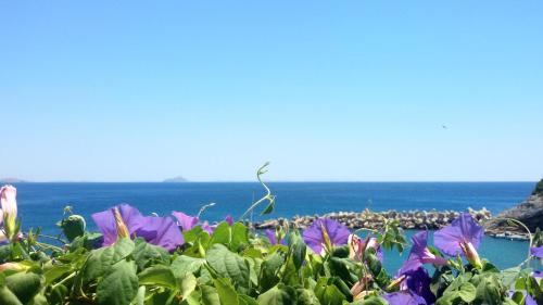 ikaria