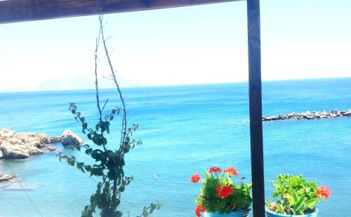 ikaria