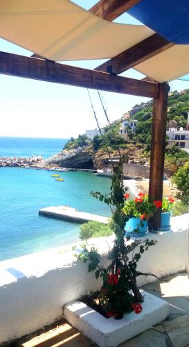 ikaria therma blue