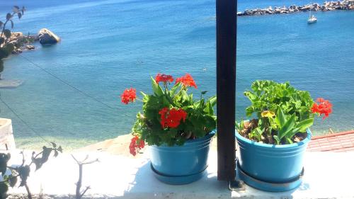 ikaria therma blue
