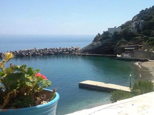 ikaria therma blue