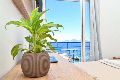 ikaria therma blue