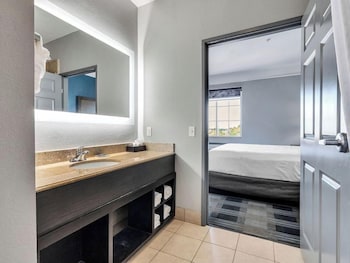 platinum inn and suites webster
