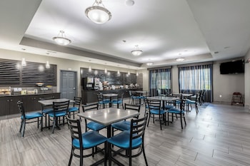 platinum inn and suites webster