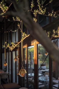 xin hotel