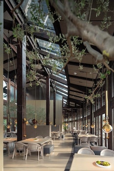 xin hotel
