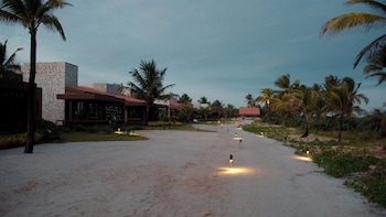 alma marau