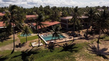 alma marau