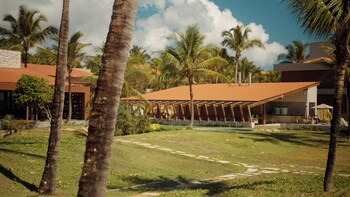 alma marau
