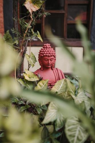 new shiva guest house