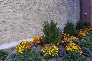 Holiday Inn New York City - Times Square By Ihg,Midtown>>Manhattan,4 star