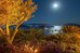caresse a luxury collection resort and spa bodrum