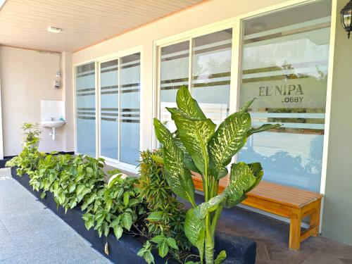 el nipa hotel labuan bajo