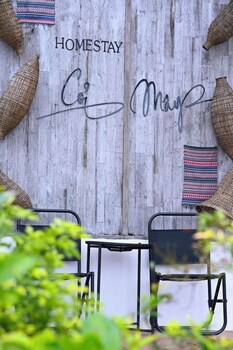 co may wonder homestay