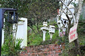 co may wonder homestay