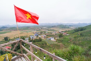 co may wonder homestay