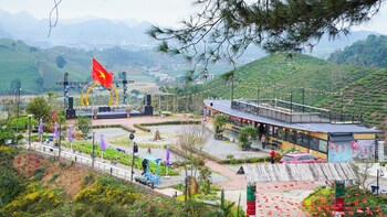 co may wonder homestay