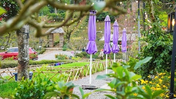 co may wonder homestay