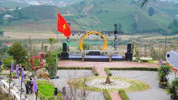 co may wonder homestay