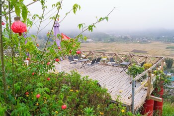 co may wonder homestay