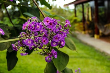 catarata eco lodge