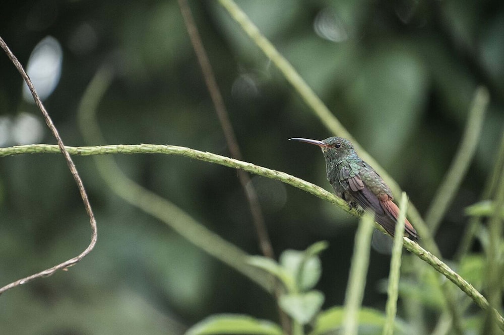 catarata eco lodge