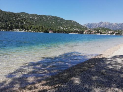ploce