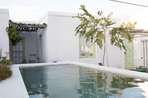 prince albert country stay