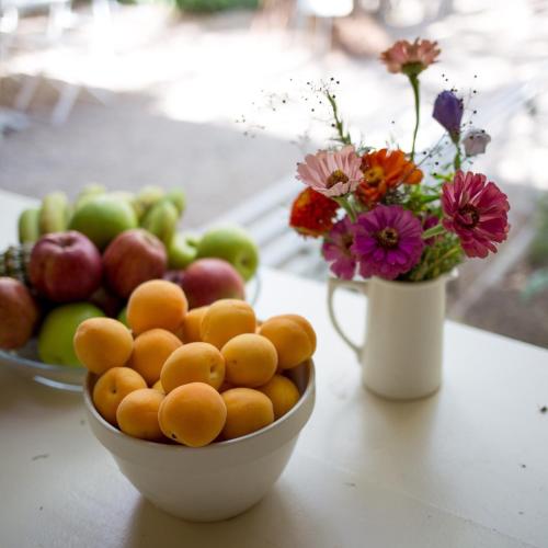 prince albert country stay