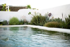 prince albert country stay