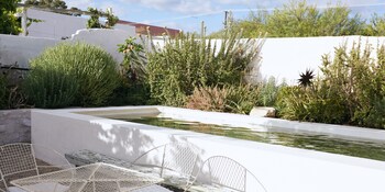 prince albert country stay