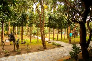 jungle safari resort