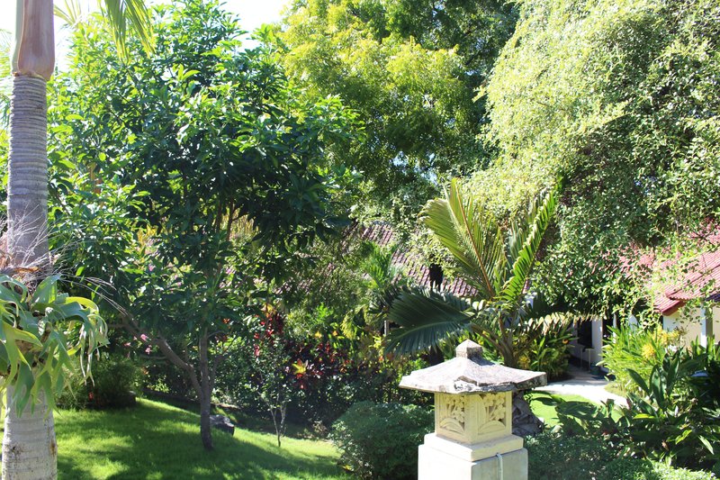 ocean sun dive resort